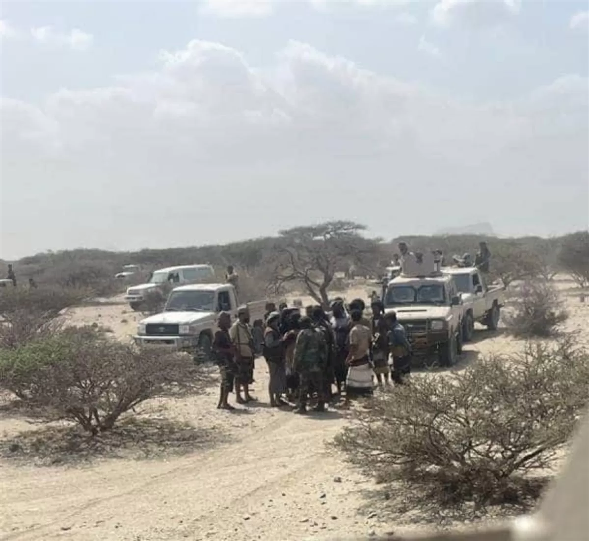 لحج: الحملة الأمنية تواصل ملاحقة مهربي المهاجرين الأفارقة في المضاربة ورأس العارة