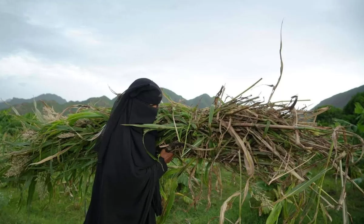 البنك الدولي يُحذر من تصاعد الصراع وسط تحديات اقتصادية في اليمن والمنطقة