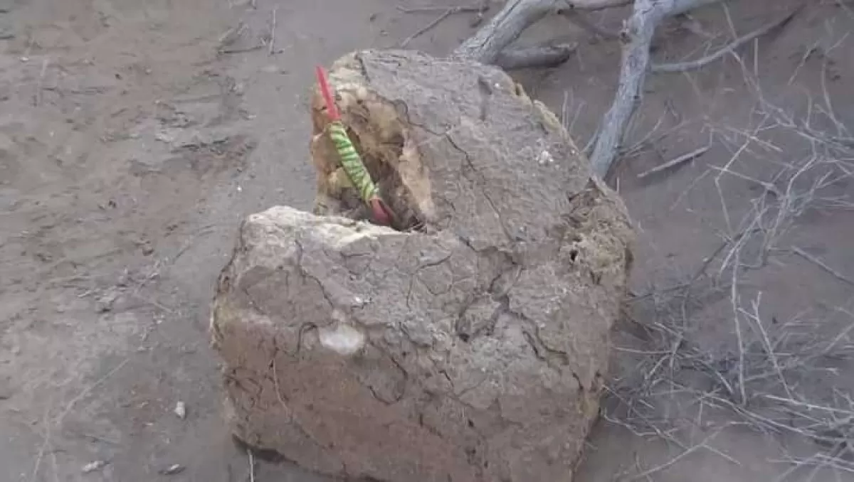 الحديدة : إصابة أربعة أطفال جراء انفجار ألغام حوثية مموهة في الدريهمي