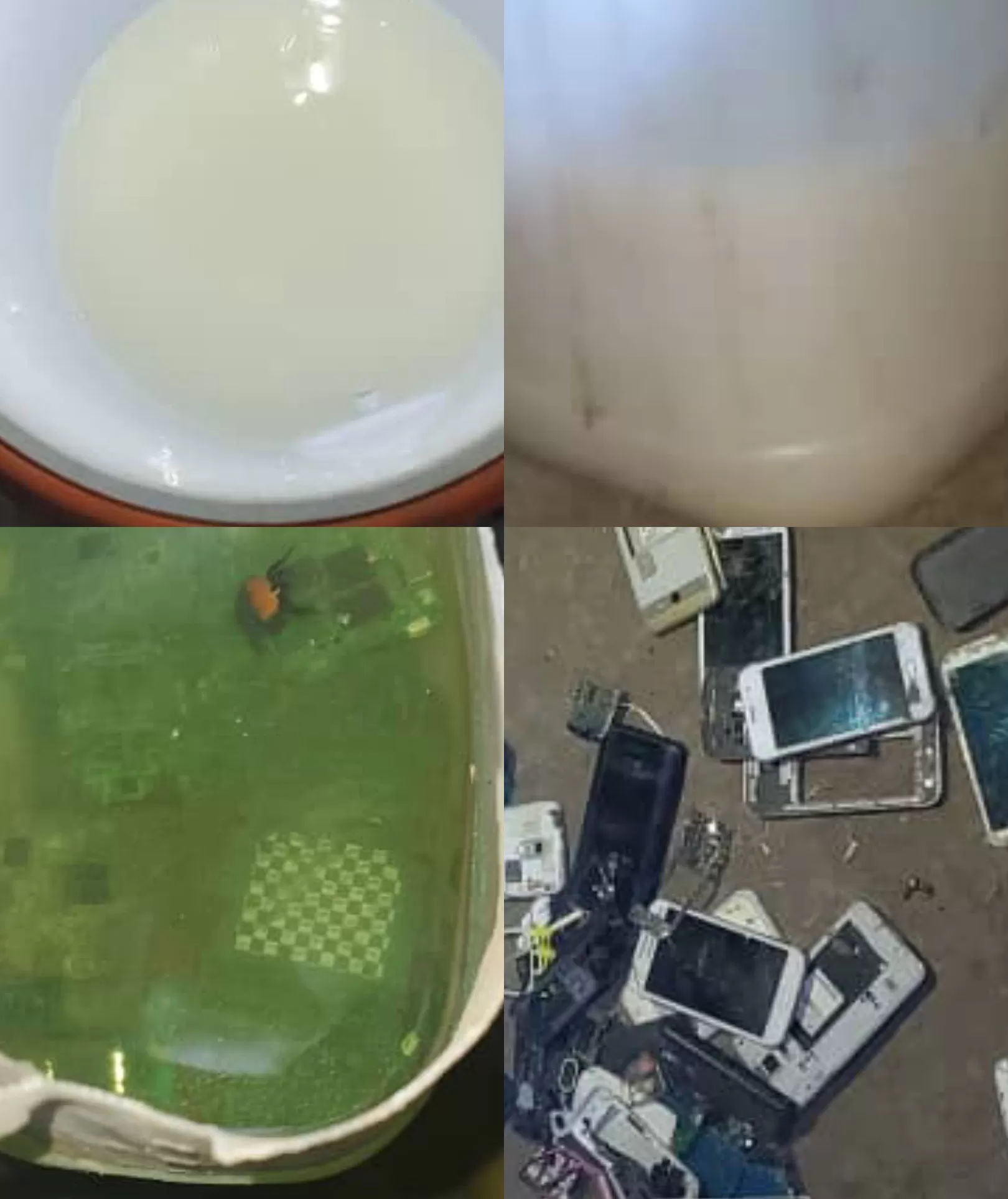 تعز : الأجهزة الأمنية تضبط معملاً لتصنيع الخمور في منطقة دبع