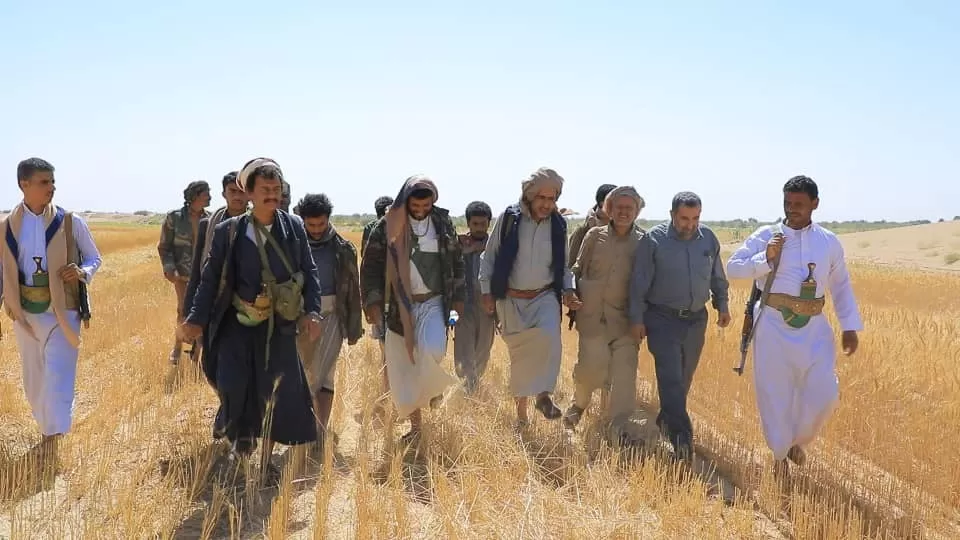 قيادات حوثية تُصادر محاصيل قمح مئات المزارعين في الجوف دون مقابل