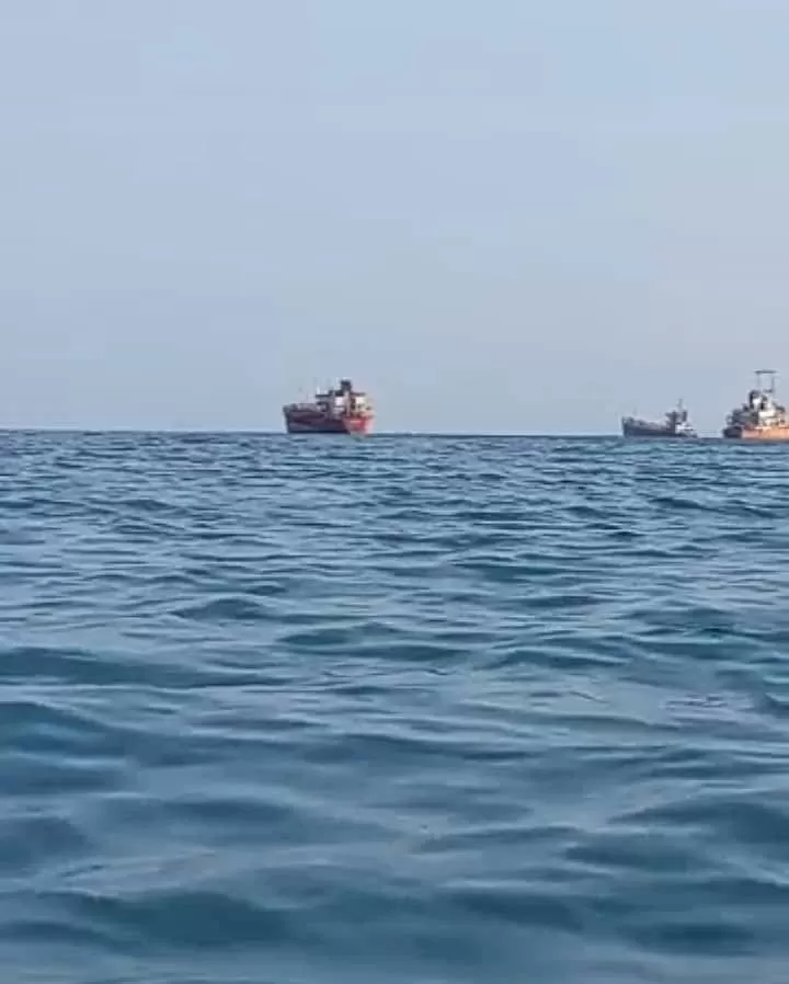 تسرب نفطي في ساحل الحسوة بعدن يهدد البيئة البحرية