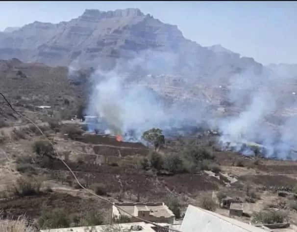 الحوثيون يحرقون آلاف الأمتار من الأراضي الزراعية شمالي الضالع