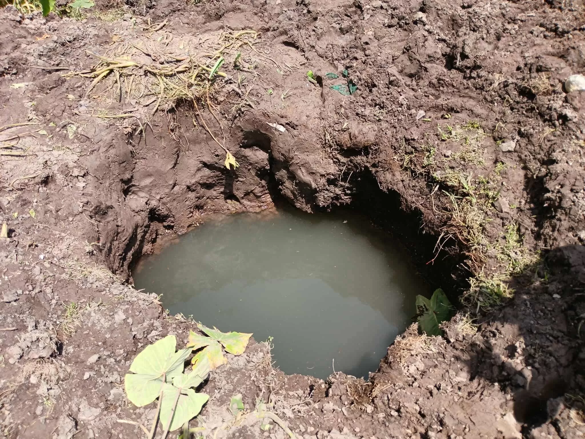 تحذيرات من كارثة صحية بتعز بسبب بيع مياه ملوثة على أنها صالحة للشرب (تفاصيل)