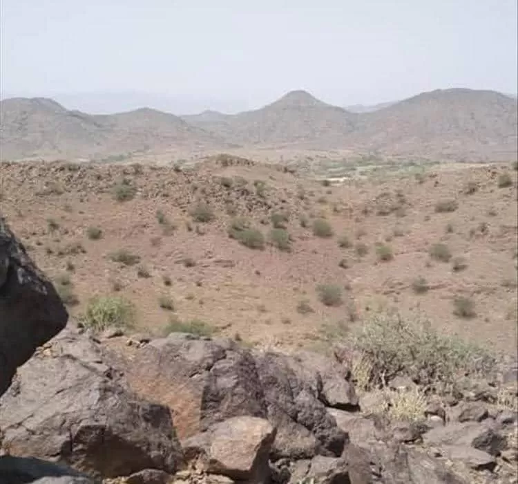 سبعة قتلى في نزاع قبلي مسلح على بئر ماء شمال عمران