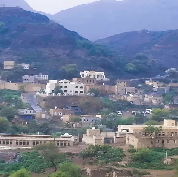 "سام" تكشف تصاعد الانتهاكات الحوثية بحق المدنيين في ماوية شرق تعز