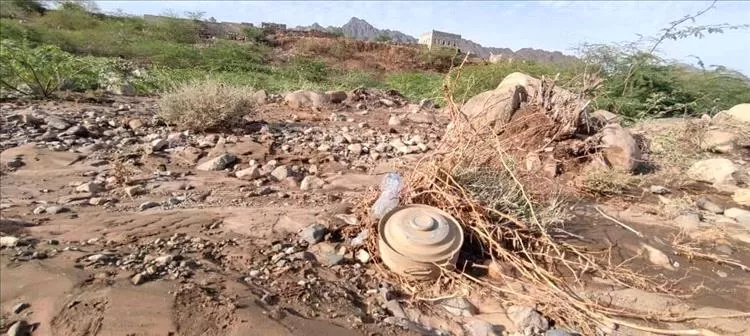 سيول الأمطار تجرف ألغامًا حوثية إلى محيط التجمعات السكانية جنوبي مأرب