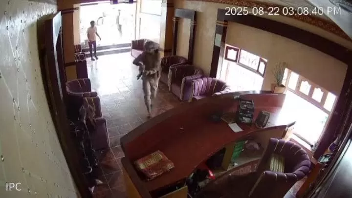 عناصر حوثية تعتدي بوحشية على موظفة استقبال منتجع سياحي في إب