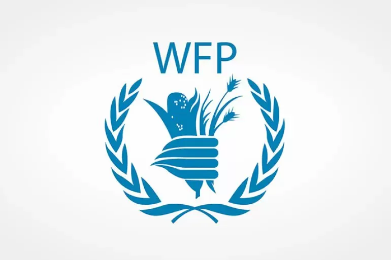 الحوثي يحرض ضد الموظفين الأمميين ويتهم برنامج الغذاء بالتجسس