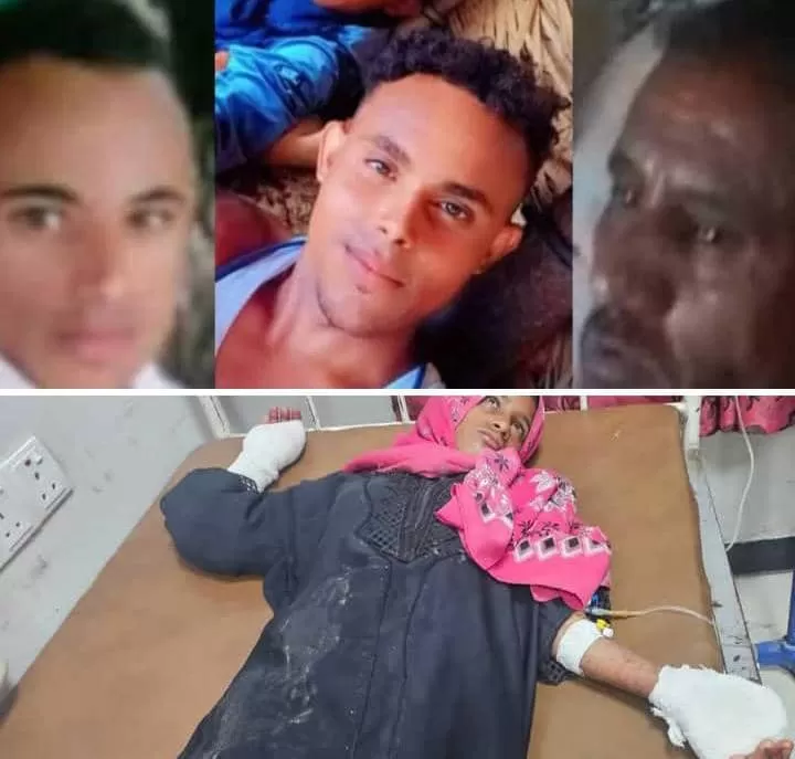 شبكة حقوقية: مقتل وإصابة 4 أشخاص ونفوق عدد من الأغنام بألغام الحوثيين