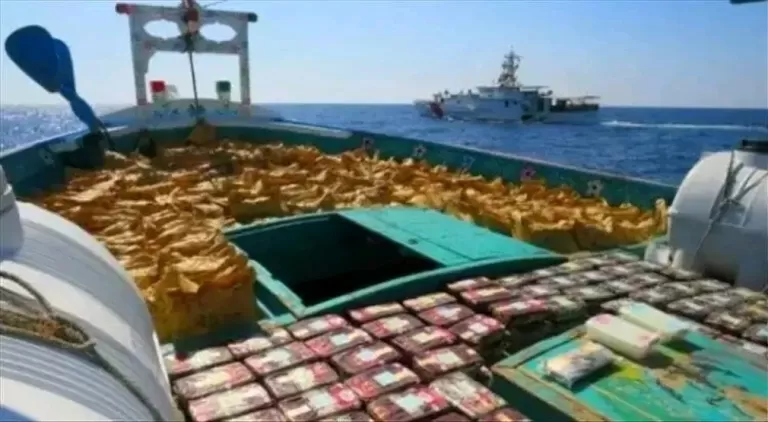 الداخلية: ضبط أكثر من طن ونصف من المخدرات وتفكيك شبكات تهريب دولية