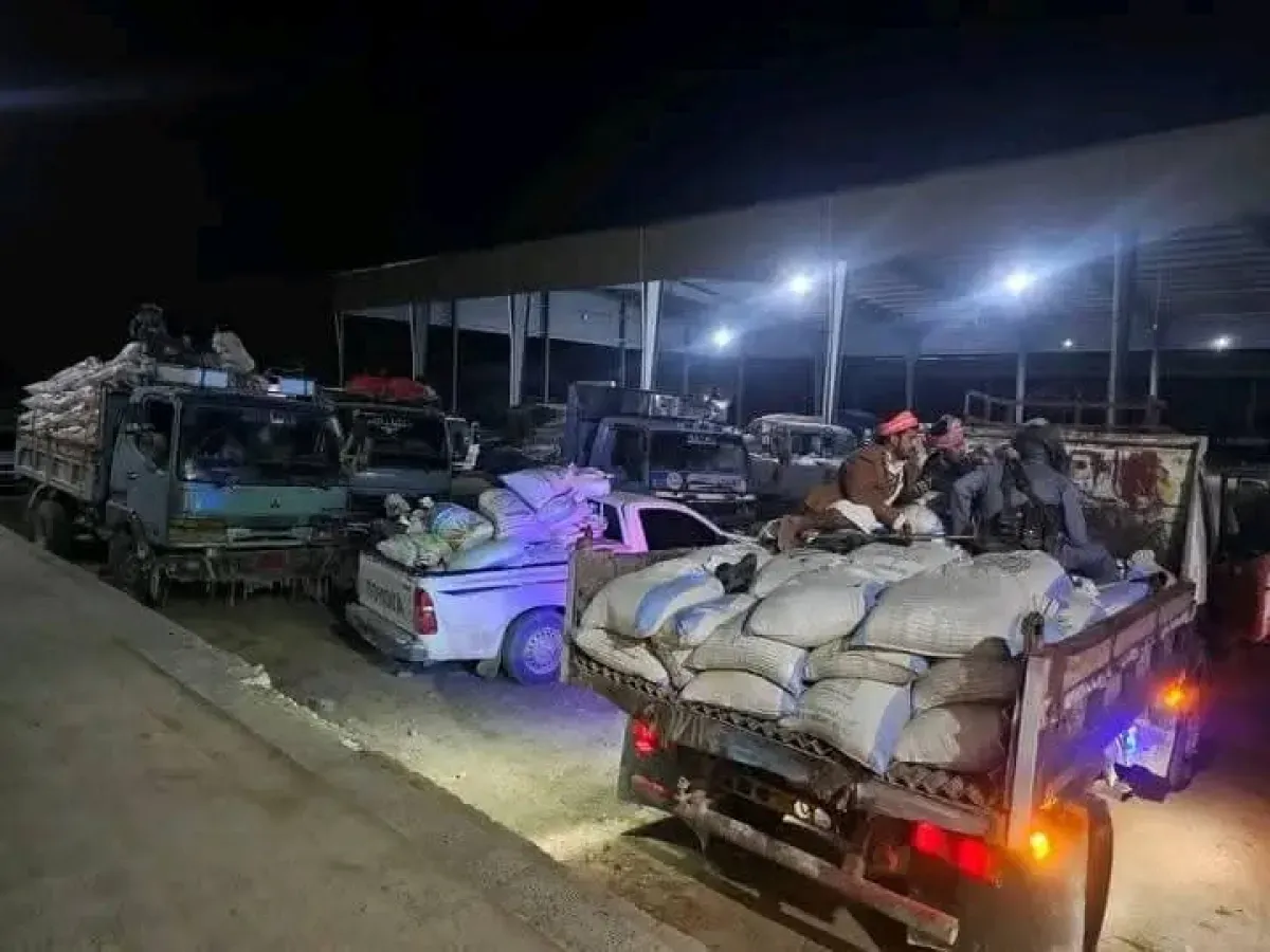 الحوثيون يمنعون مزارعي القمح من تسويق منتجاتهم ويجبرونهم على البيع بخسائر