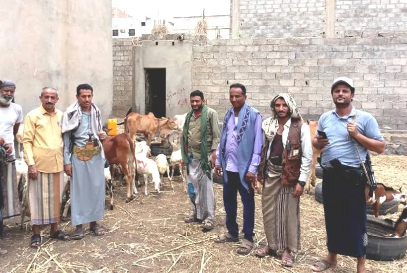 الحوثيون يفرضون جبايات على مربي المواشي في ريمة