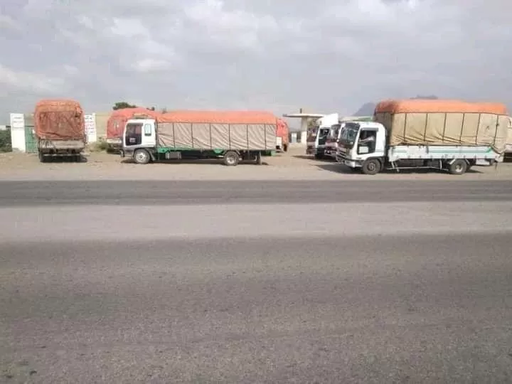 جماعة الحوثي تمنع توسيع زراعة وتصدير الموز في سهل تهامة (وثيقة)